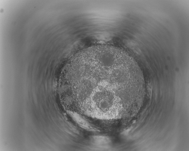 X0000088590657200706011139