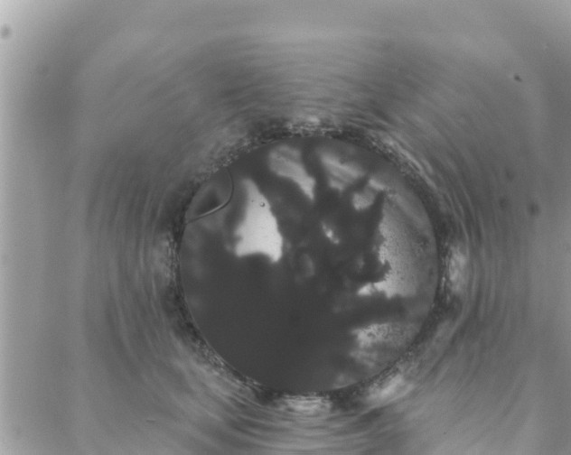 X0000088590659200706011139