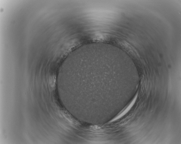 X0000088590660200706011139