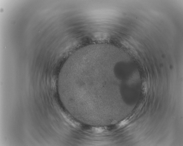 X0000088590662200706011139