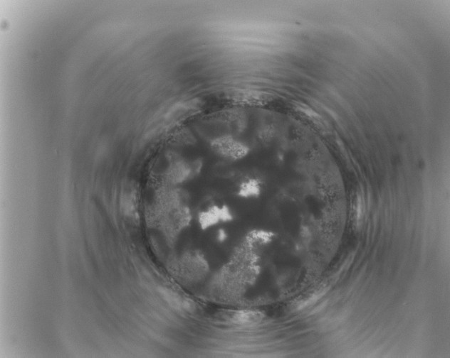 X0000088590663200706011139