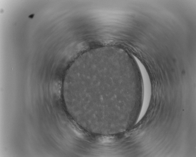 X0000088590664200706011139