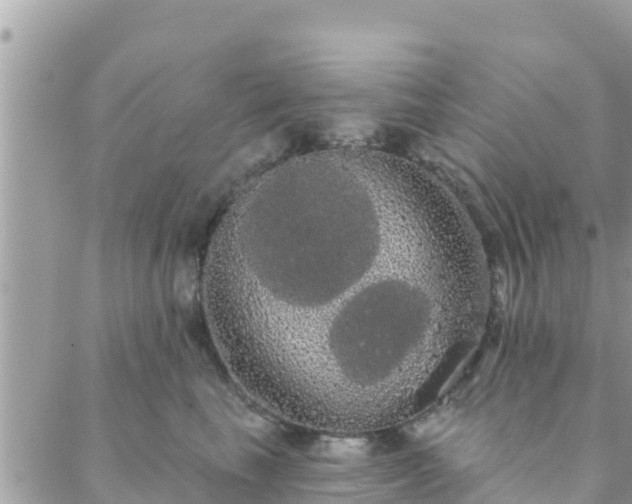 X0000088590665200706011139