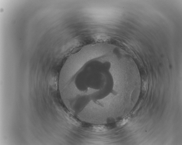 X0000088590666200706011139