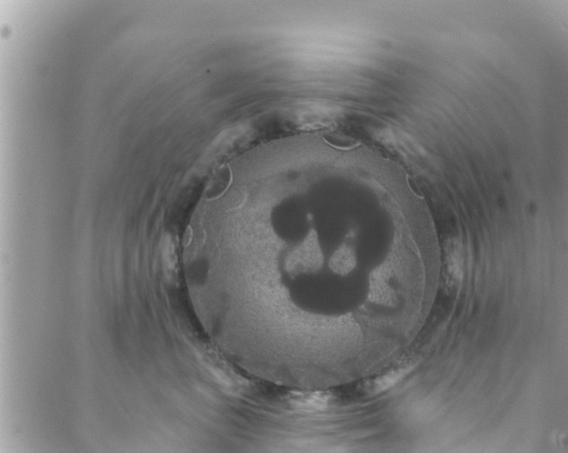 X0000088590667200706011139