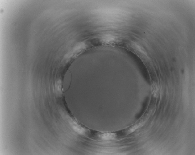 X0000088590670200706011139