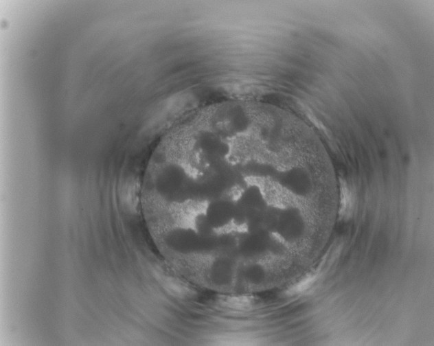 X0000088590671200706011139