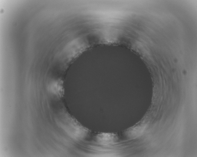 X0000088590672200706011139