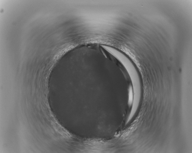 X0000088590673200706011138