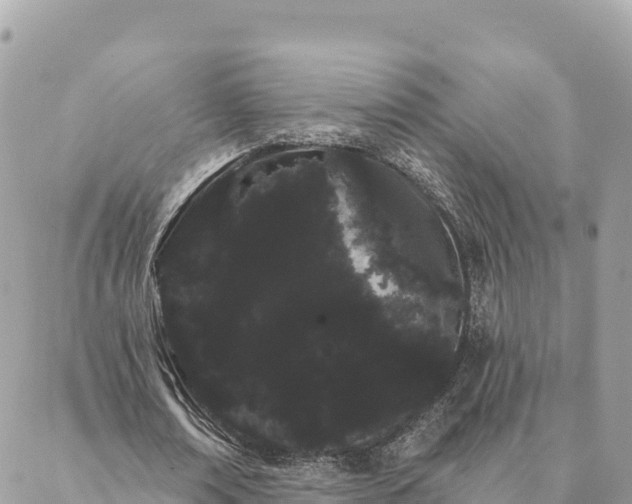 X0000088590674200706011138