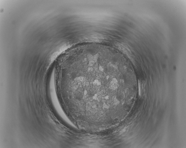 X0000088590675200706011138