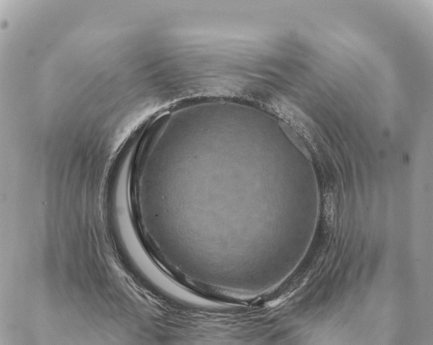 X0000088590676200706011138