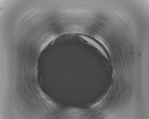 X0000088590677200706011138