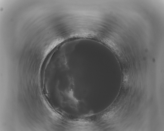 X0000088590678200706011138