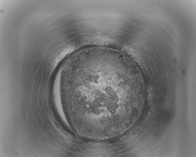 X0000088590679200706011138