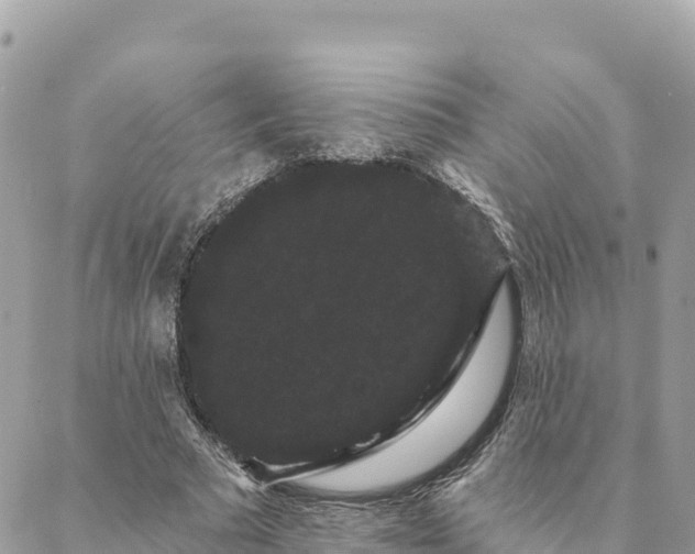 X0000088590681200706011138