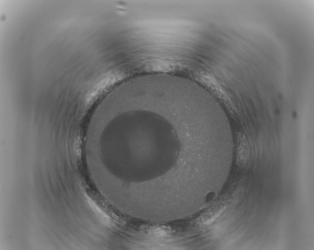 X0000088590683200706011138