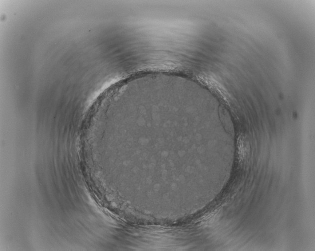 X0000088590684200706011138