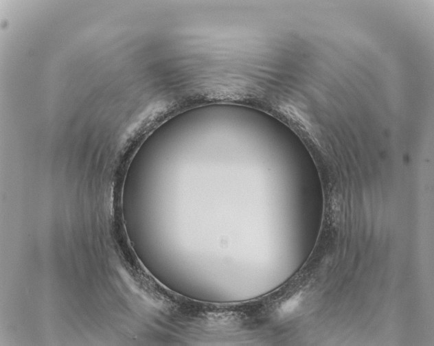 X0000088590686200706011138