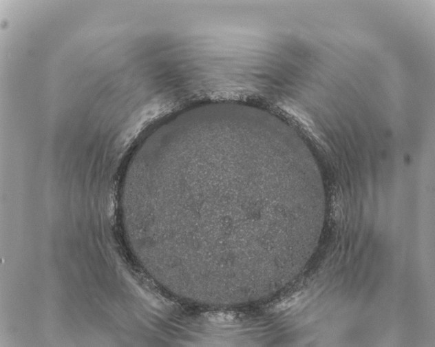 X0000088590687200706011138