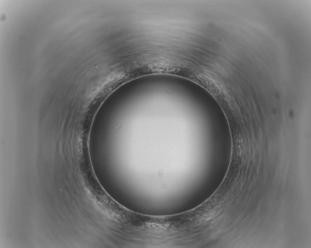 X0000088590690200706011138