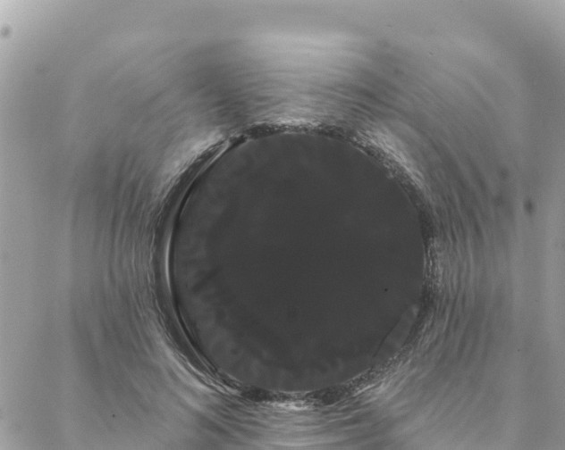 X0000088590692200706011138