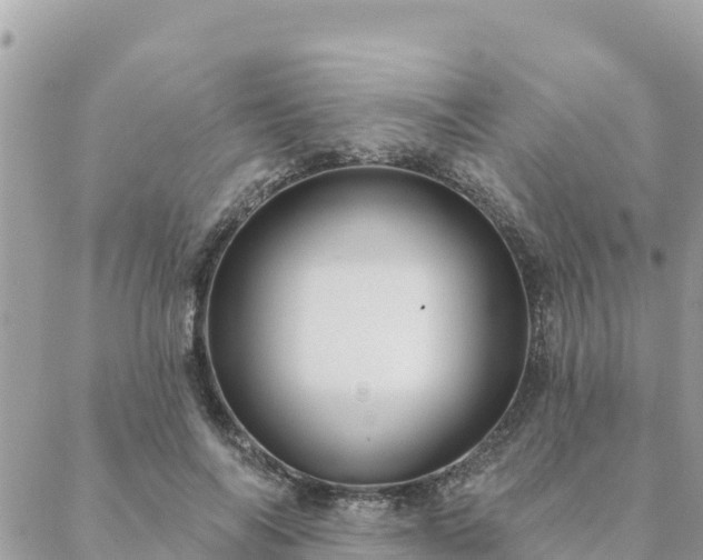 X0000088590694200706011138