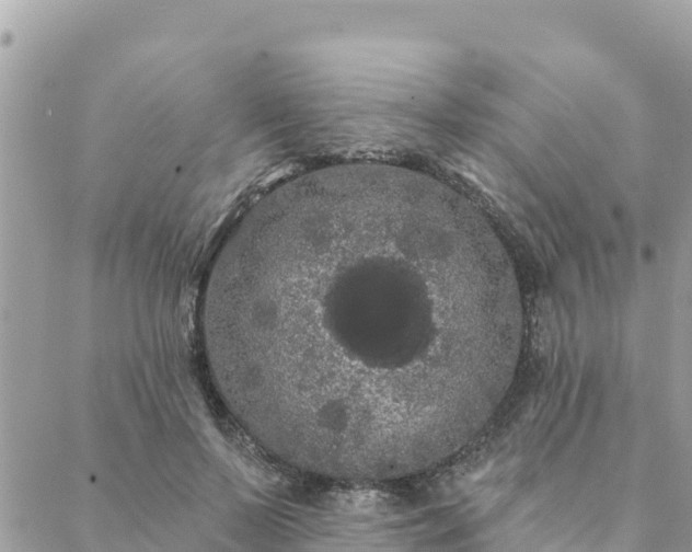 X0000088590695200706011138