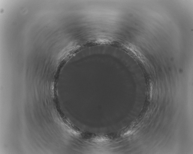 X0000088590696200706011138