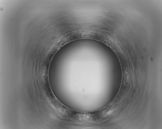 X0000088590698200706011138