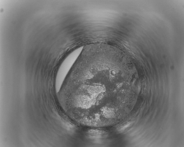 X0000088590699200706011138