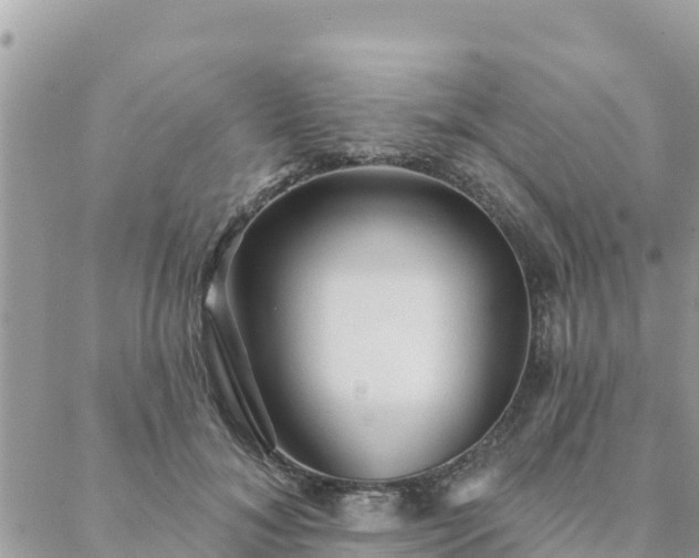 X0000088590700200706011138