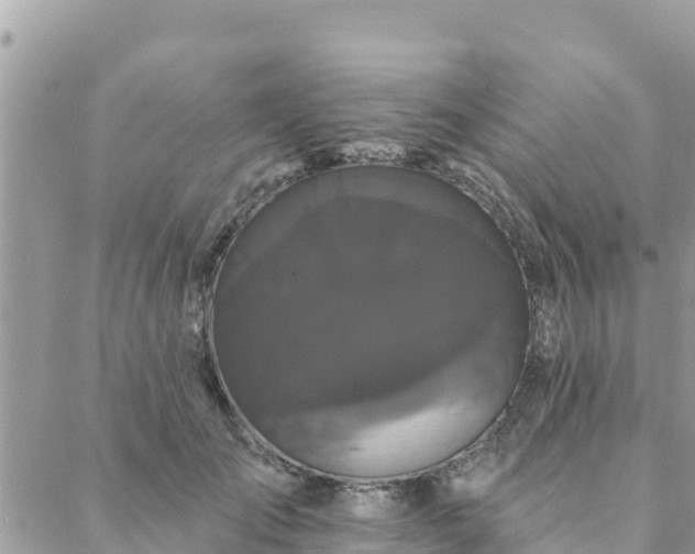 X0000088590701200706011138