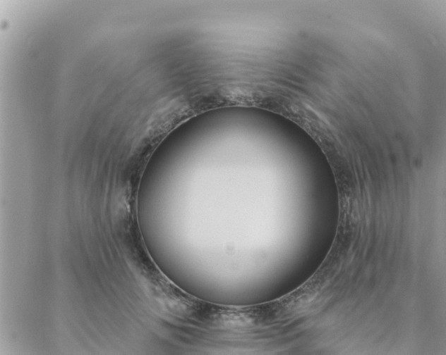 X0000088590702200706011138