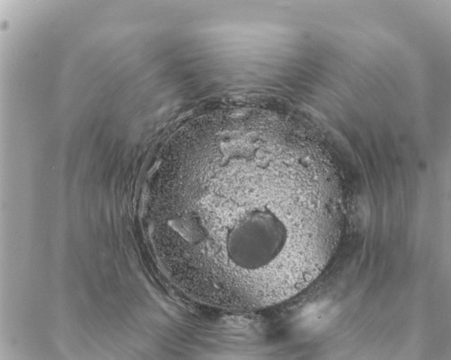 X0000088590703200706011138