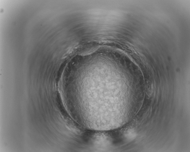 X0000088590704200706011138