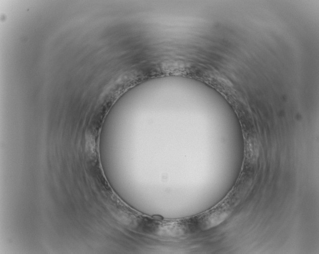 X0000088590705200706011138