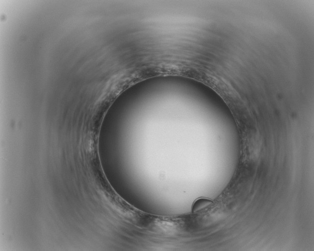 X0000088590706200706011138