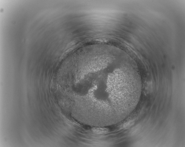 X0000088590707200706011138