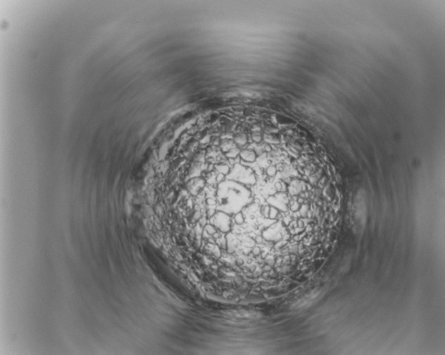 X0000088590708200706011138