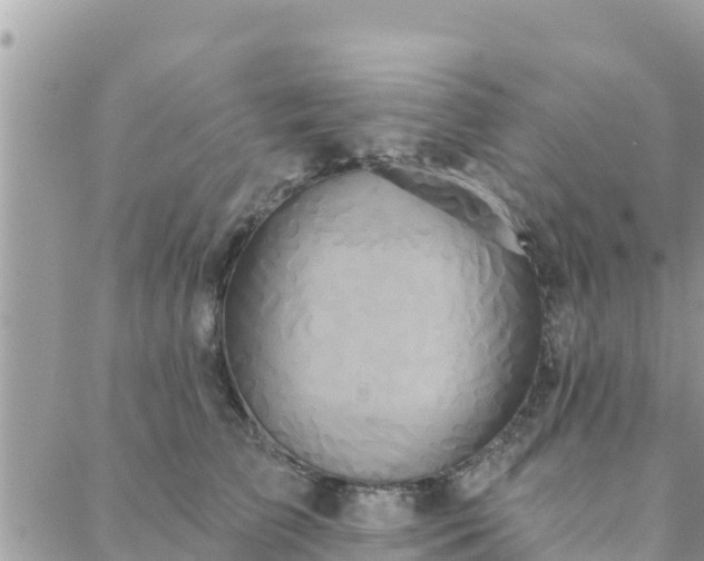 X0000088590709200706011138