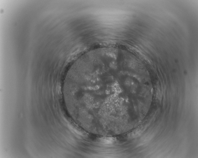 X0000088590711200706011138