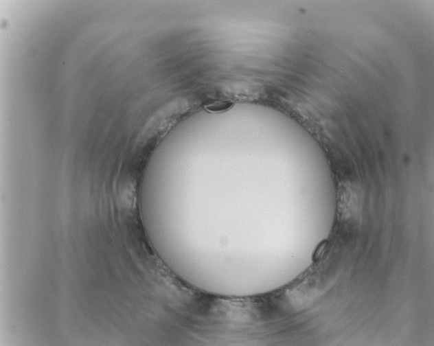 X0000088590713200706011138