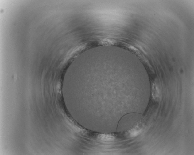 X0000088590714200706011138