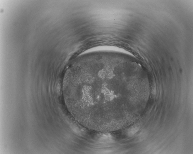 X0000088590715200706011138