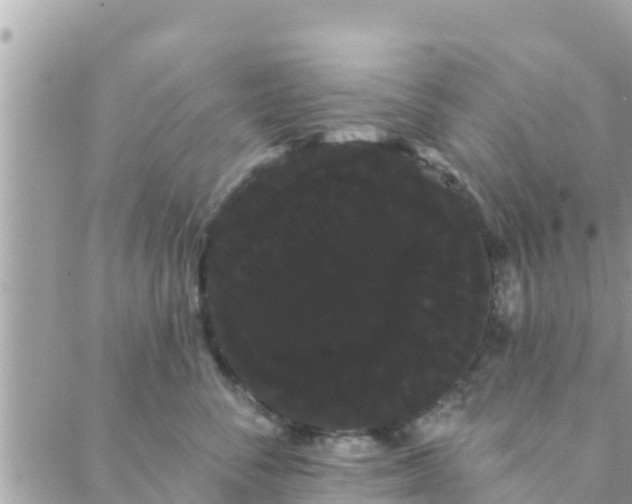 X0000088590716200706011138