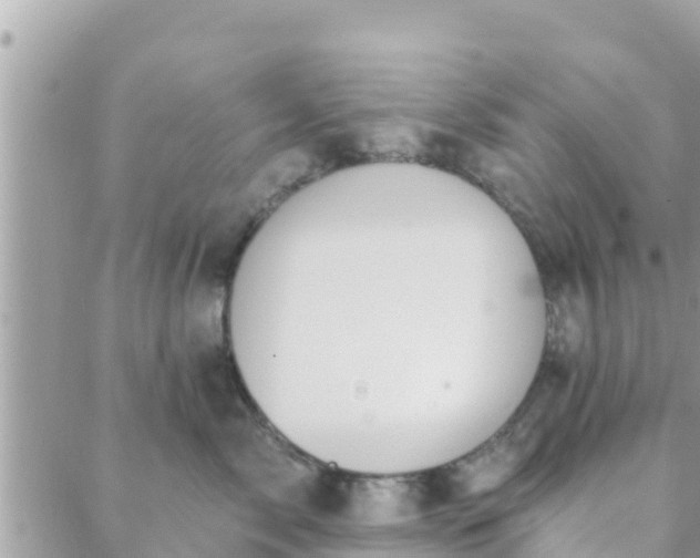 X0000088590717200706011138