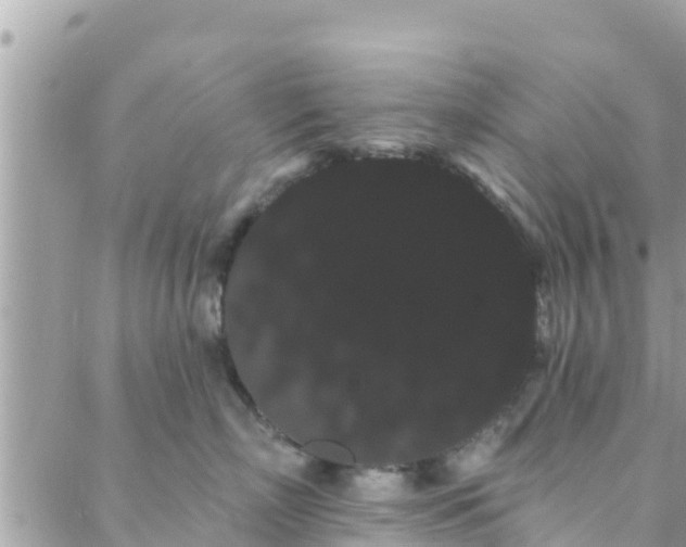 X0000088590718200706011138