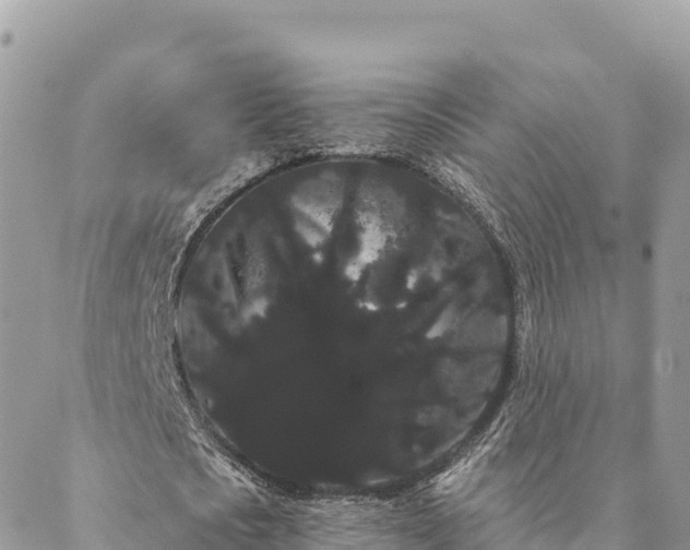 X0000088590721200706011137