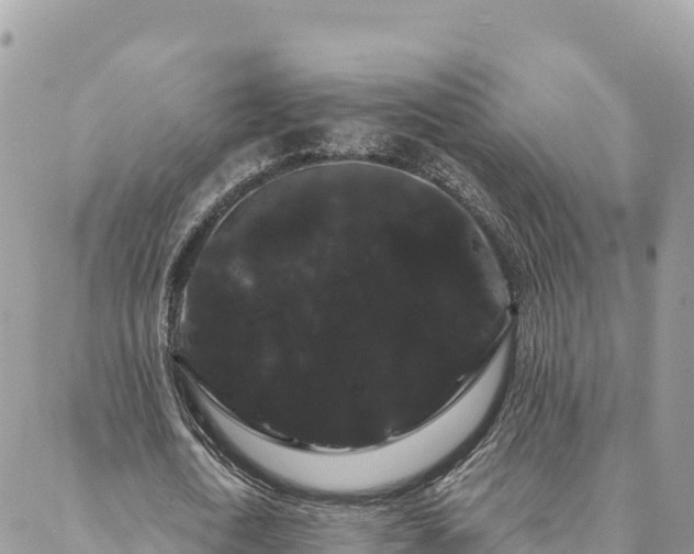 X0000088590722200706011137